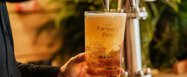 A pint at The Farmers Dog