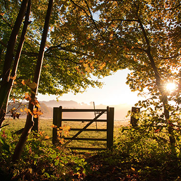 The Cotswolds