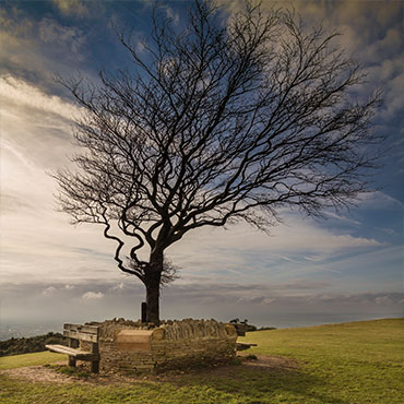The Cotswolds