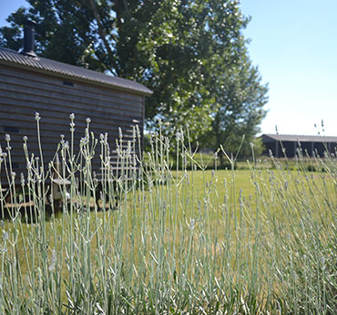 Manor Farm B&B - Kelmscott